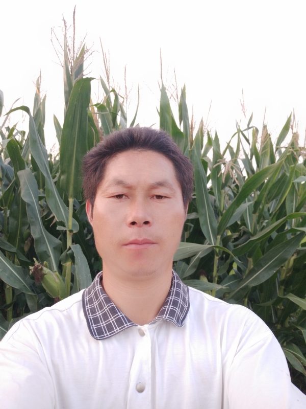 四海游龙的第一张照片--湛江相亲服务中心