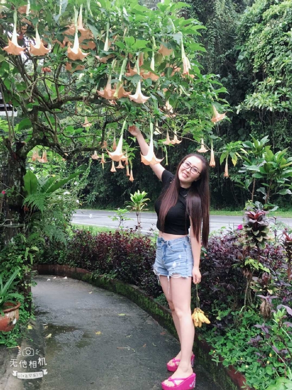 离异单身无子的第二张照片--湛江相亲服务中心