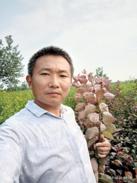 孩子爸的第二张照片--湛江相亲服务中心