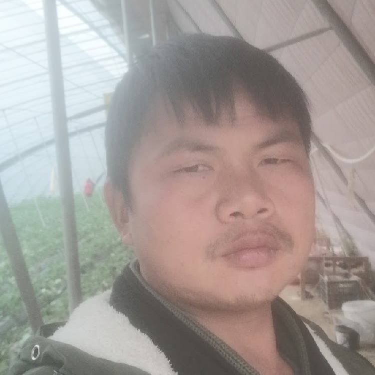 孤狼‘的第一张照片--湛江相亲服务中心