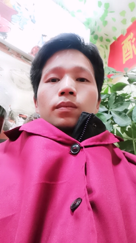 单身的林凡的第一张照片--湛江相亲服务中心