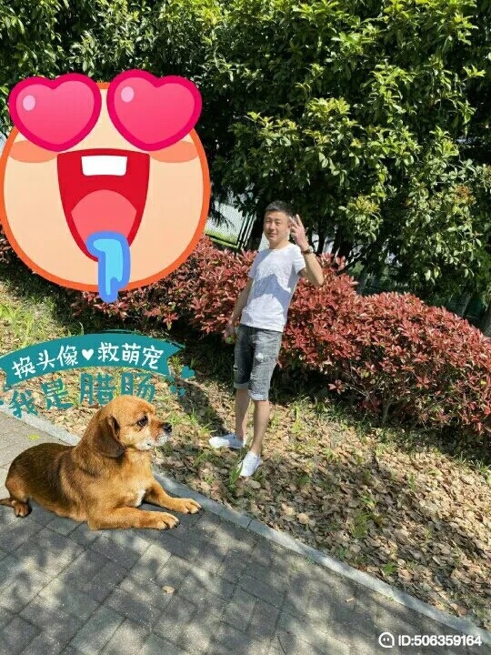 我若不坚强谁替我勇敢的第五张照片--湛江相亲服务中心