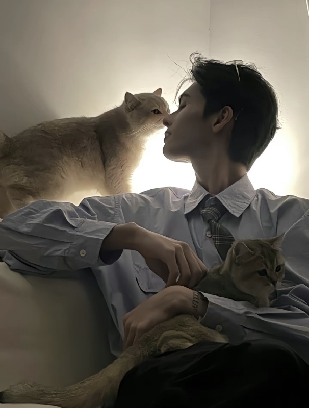 怪猫的第一张照片--湛江相亲服务中心