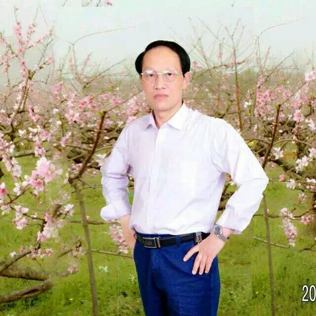 枫叶的第一张照片--湛江相亲服务中心